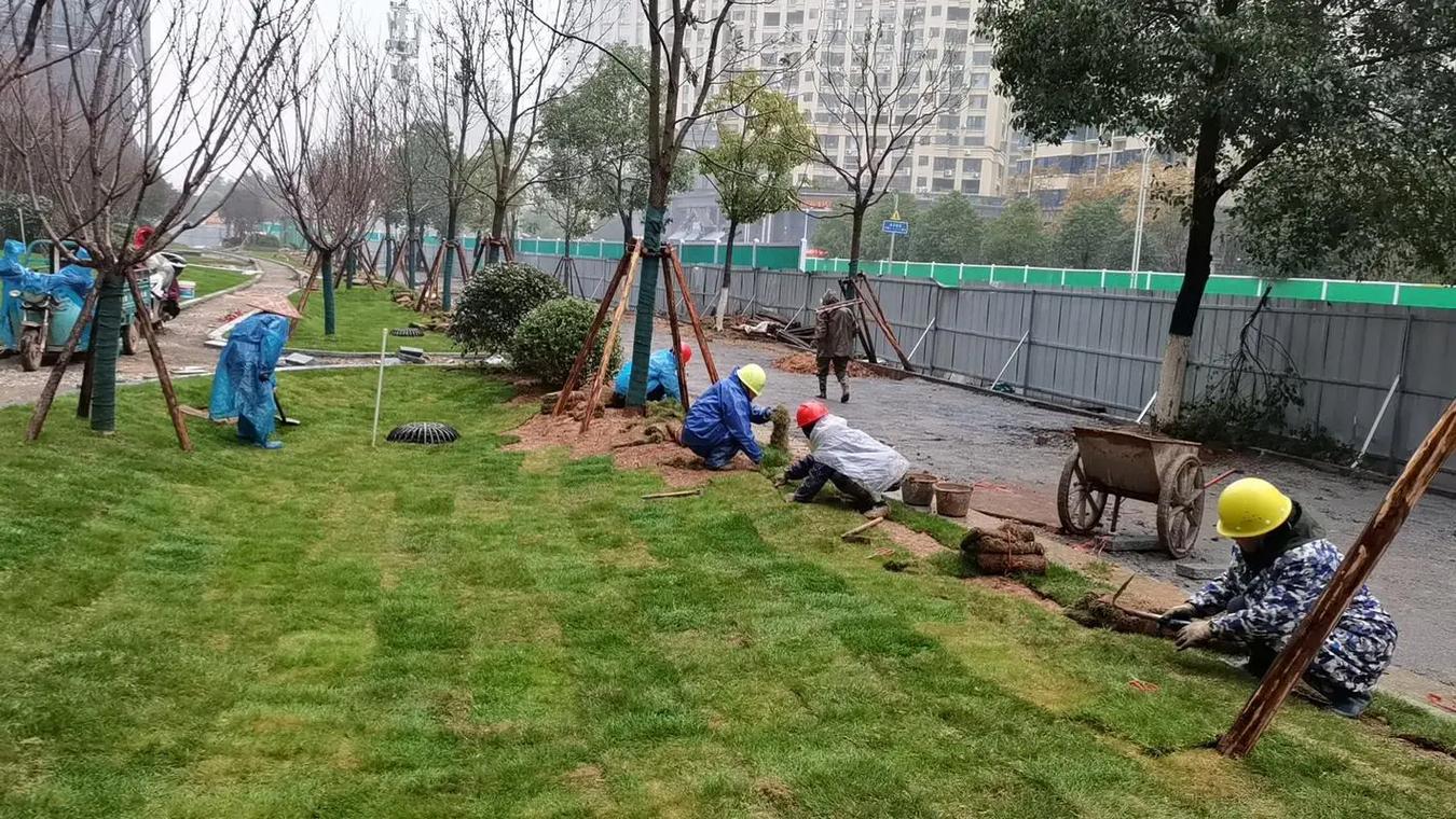 園林景觀綠化工程專業綠化施工 綠色體育場地設施建設的重要助力