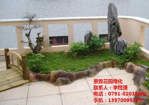 南昌綠化養(yǎng)護與苗木價格行情全解析 聚焦景致與園林施工養(yǎng)護